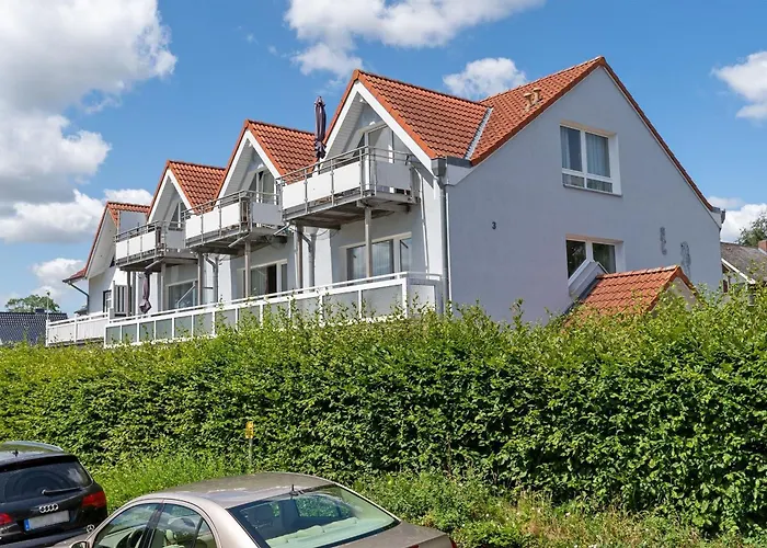 Seepferdchen Kiekut *